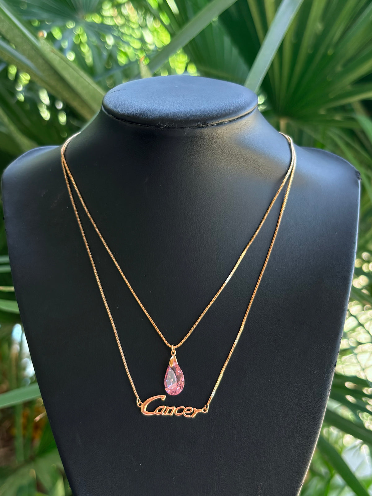 #10-C Cáncer chain Xp