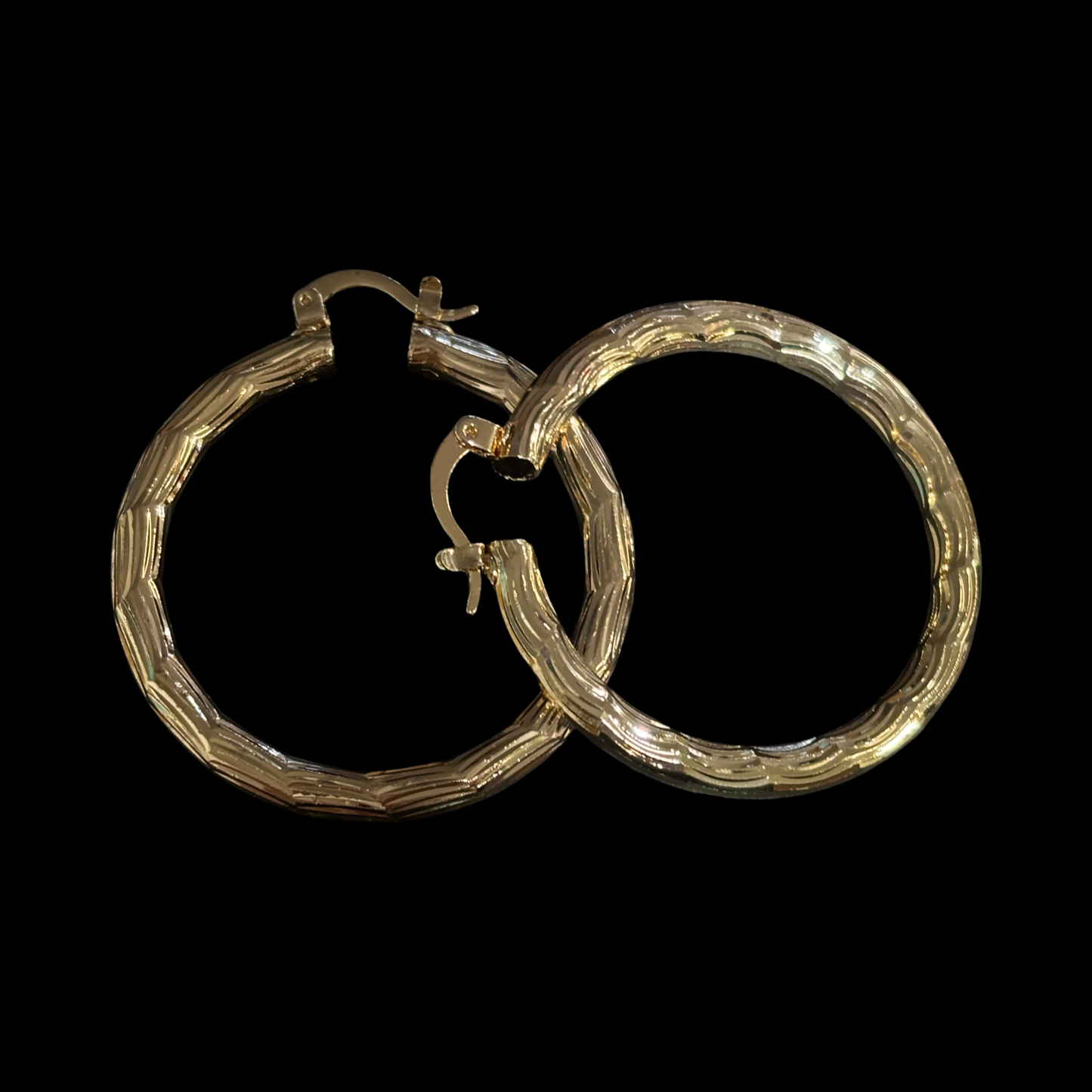 Hoop Earring #666