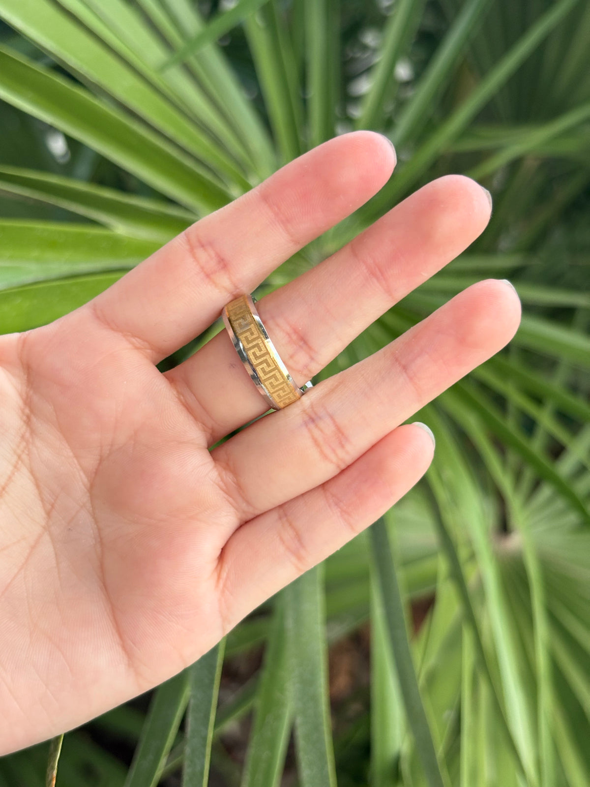 Ring Stanley steel