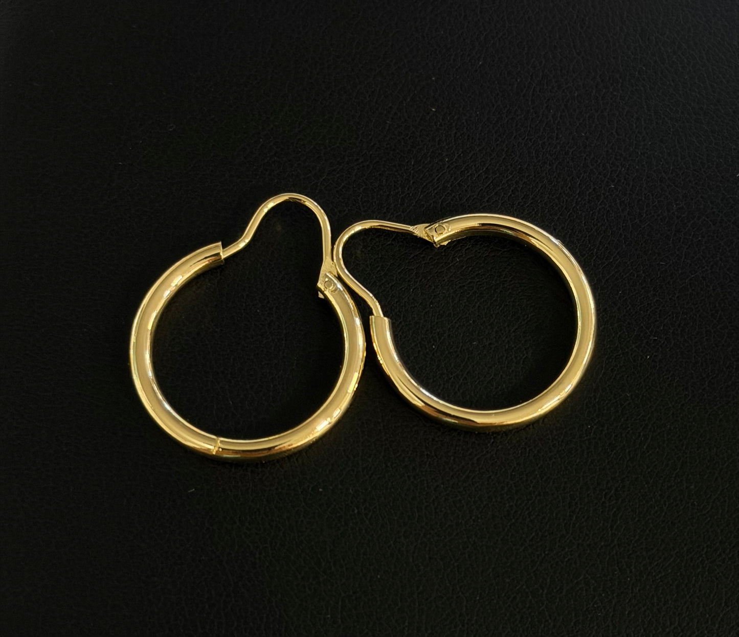 Hoop Earring #111