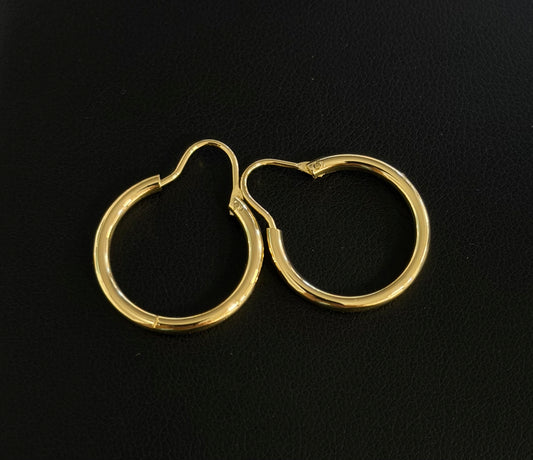Hoop Earring #111