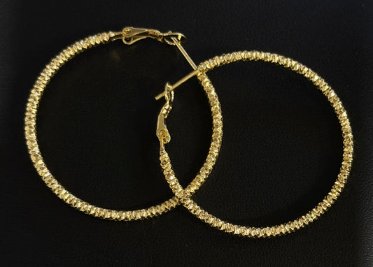 Hoop Earring #222