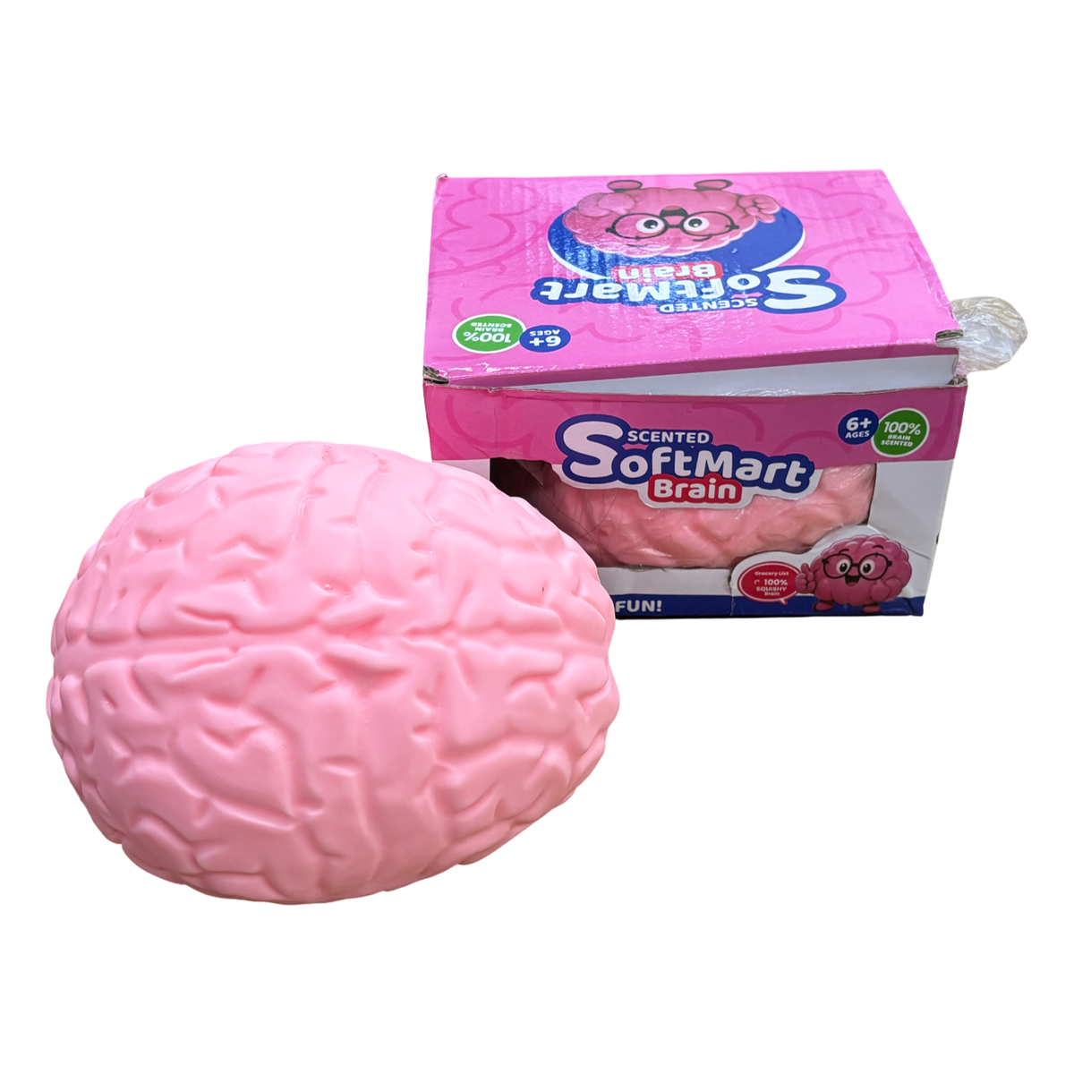 Squishy brain 1pc