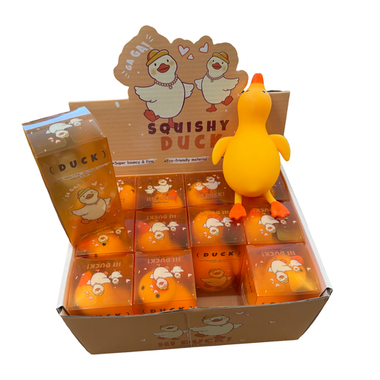 12Pc Ducks