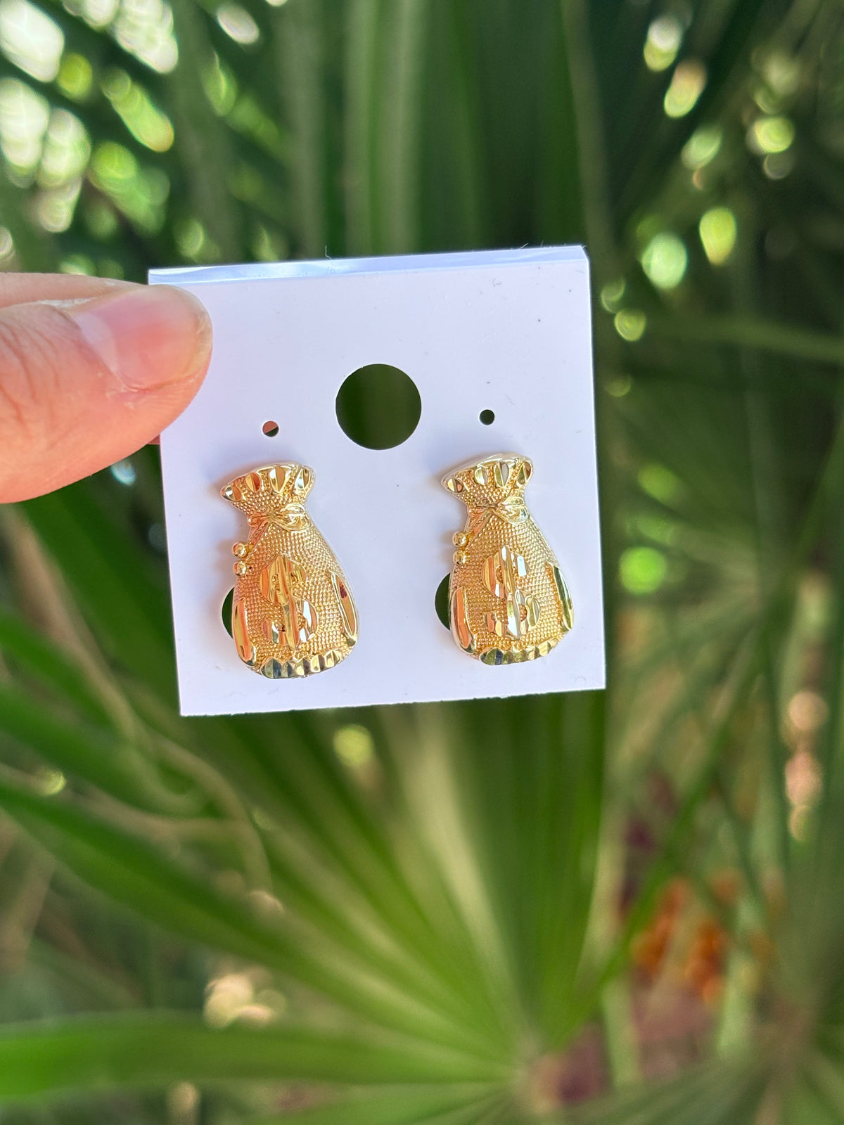 Bag money earring