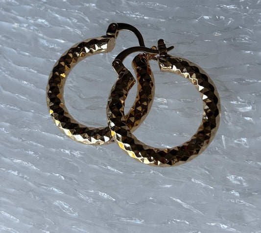 Hoop Earring Style D