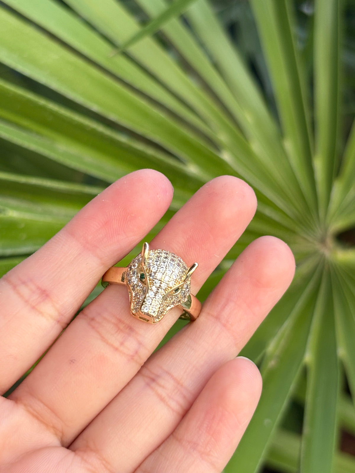 Animal ring ajustable
