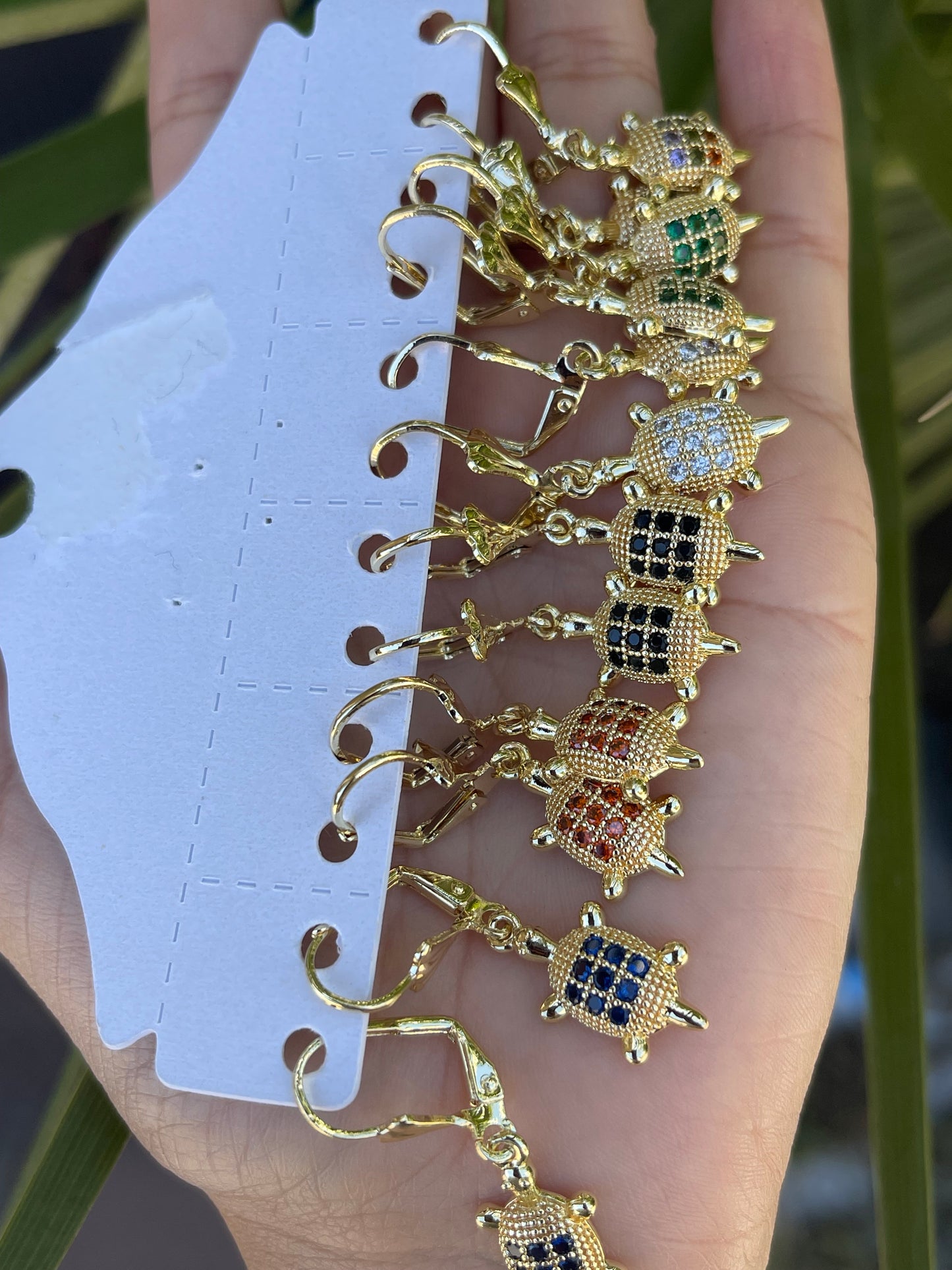 Tortuga erring pack