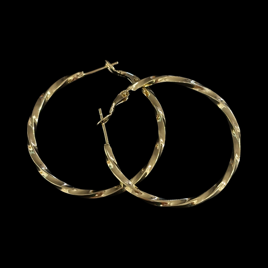Hoop Earring #777