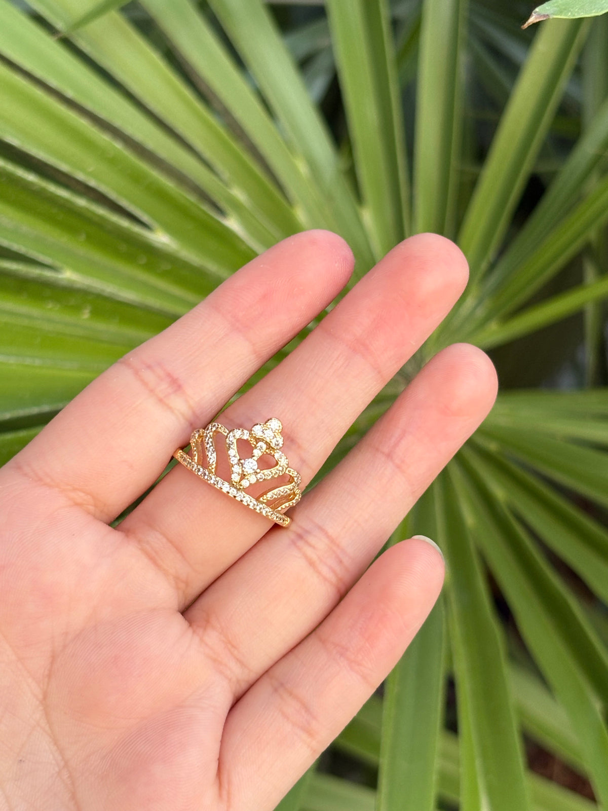 Corona ring ajustable