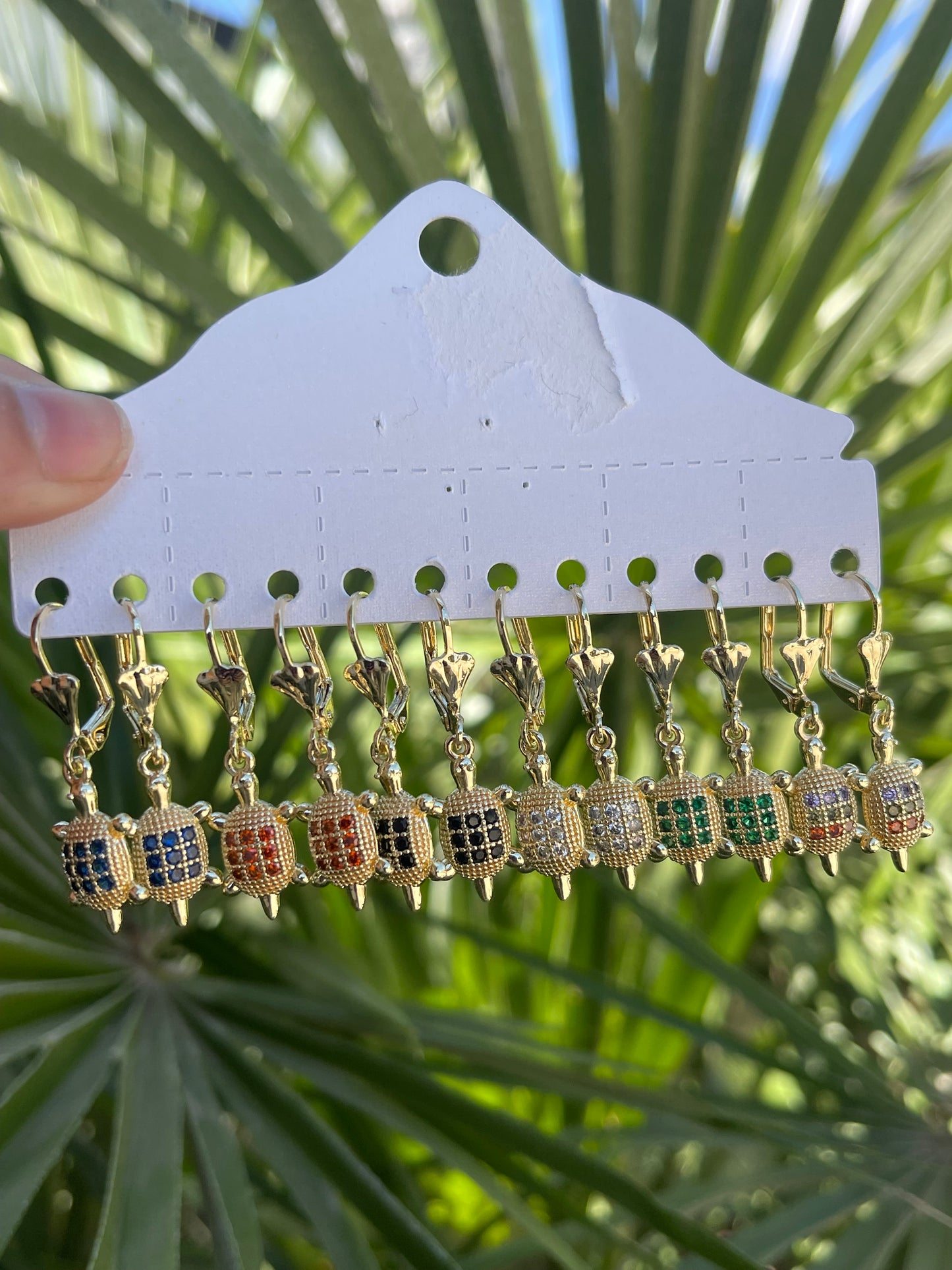 Tortuga erring pack