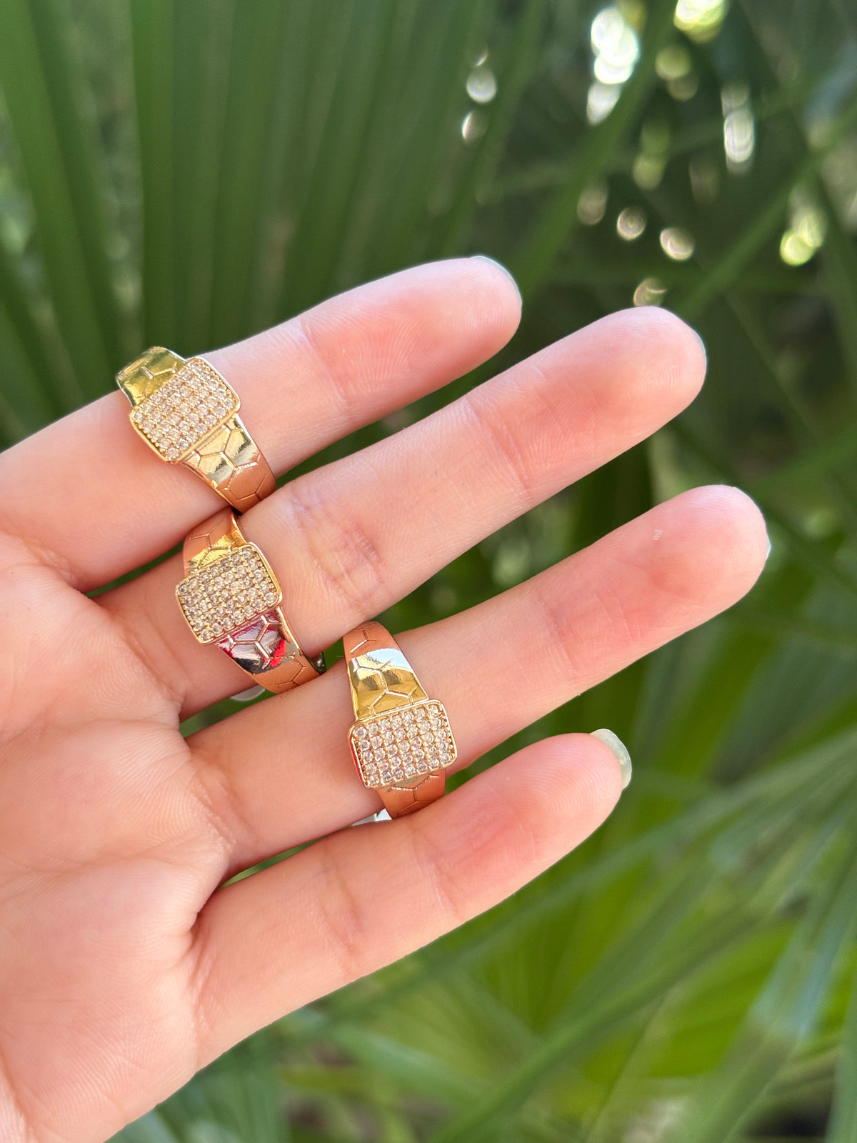 Xp cuadro ring