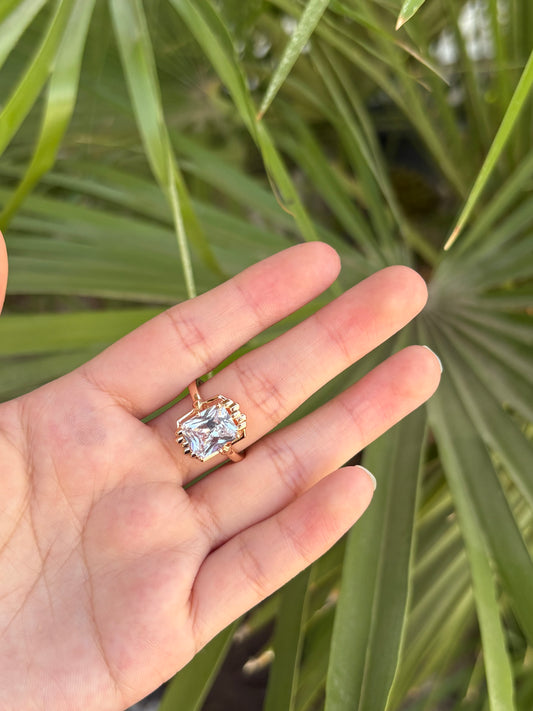 Ring cuadro Xp #7