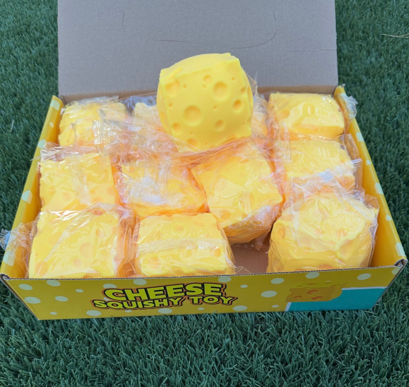 12 Fat Cheese Squishy