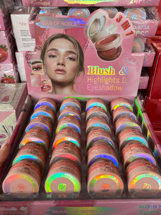 3in1 makeup