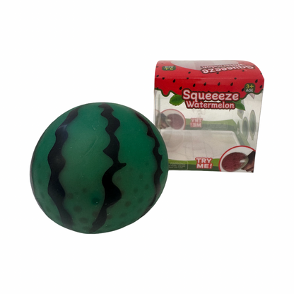 NEW Watermelon Squishy