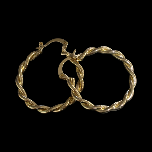 Hoop Earring #555