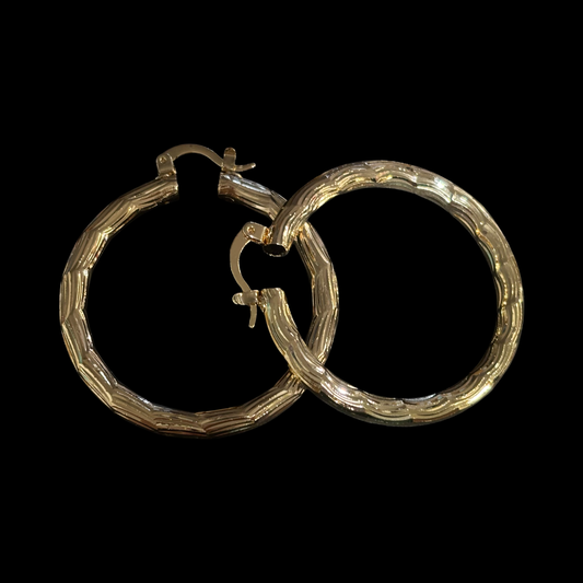 Hoop Earring #666
