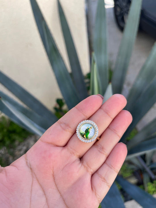 San Judas Encapsulated Adjustable Ring