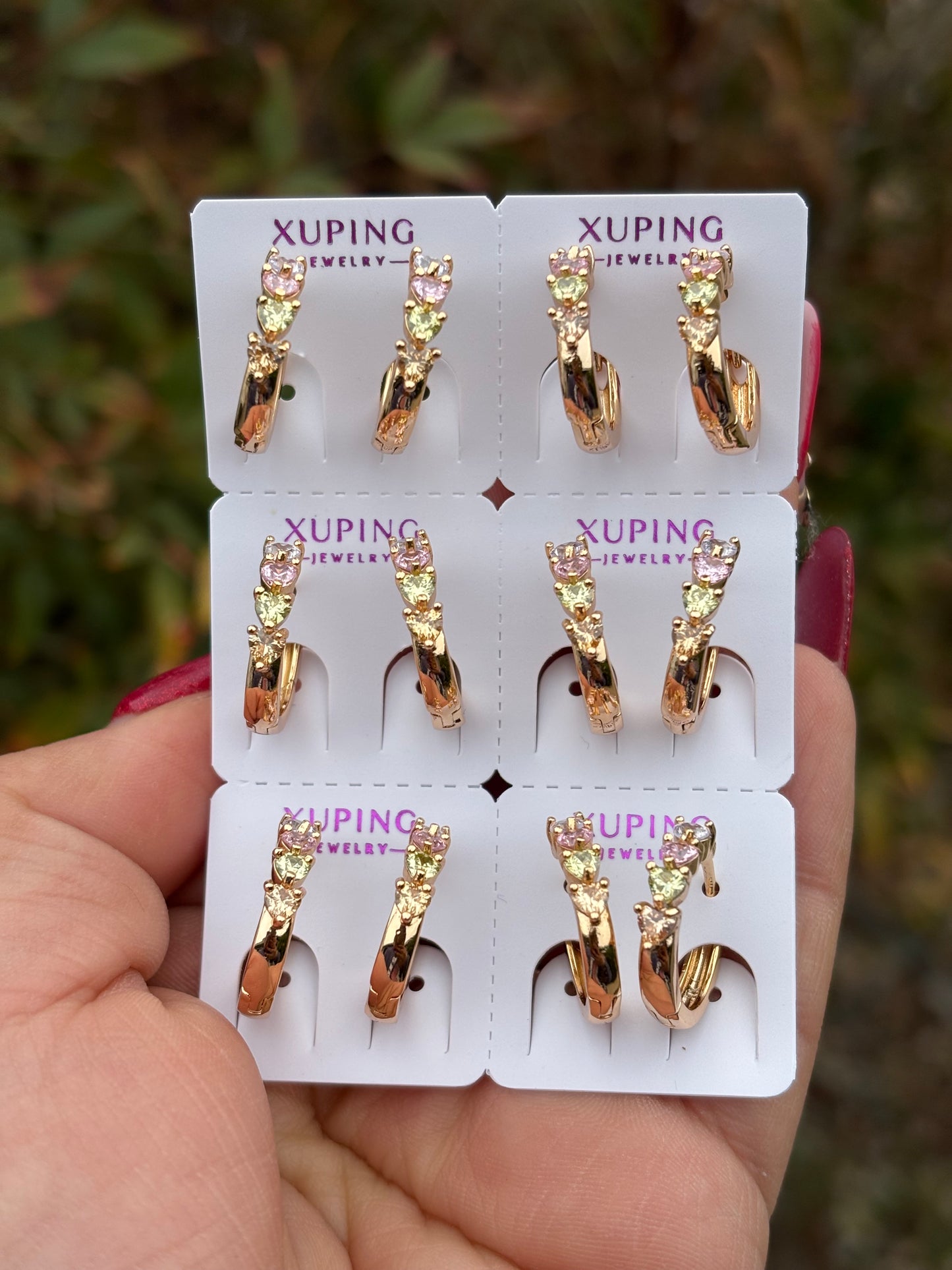 Hoop Earring 6pc #5197