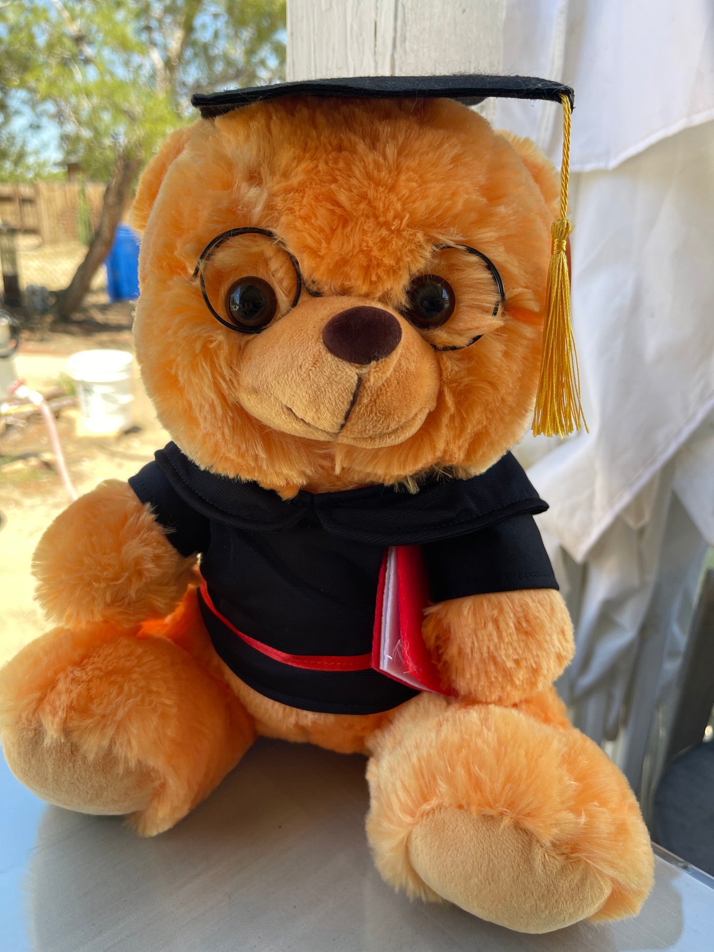 Grad bear B